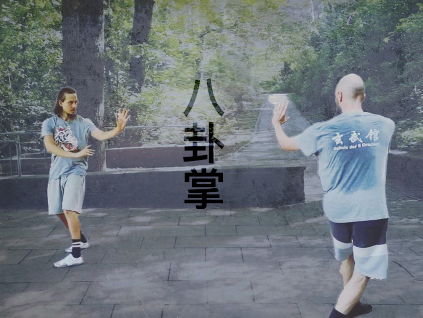 Bagua Zhang - Course