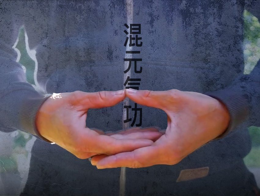 Nei Gong - Course
