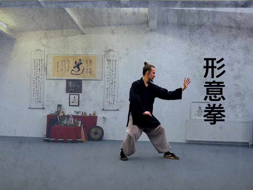Xing Yi Quan - Course